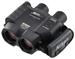 Nikon Stabileyes 14x40 VR schwarz