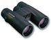 Olympus 10x42 EXWP I schwarz