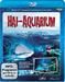 Hai-Aquarium HD