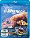 Clownfisch-Aquarium HD