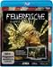 Feuerfische HD
