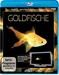 Goldfische HD