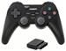 snakebyte PS2 Wireless Controller