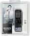 Sony ICD-PX312F 2GB