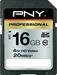 PNY SDHC Karte Professional