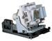 BenQ SP840 Ersatzlampe