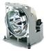 ViewSonic RLC-061 Ersatzlampe