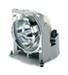 ViewSonic RLC-055 Ersatzlampe für ViewSonic PJD5352