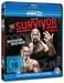 WWE: Survivor Series 2011 (OmU)
