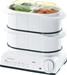 Braun FS20 MultiGourmet