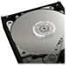 Western Digital Caviar Green 320GB