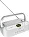 Sony ZS-R100CP