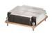 Intel STS200P