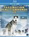 Faszination Schlittenhunde 3D