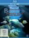 Abenteuer Bahamas 3D
