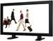 NEC MultiSync V321 DST