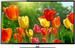 Haier LET39Z18HF