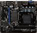 MSI 760GM-P21