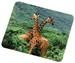 Hama Mauspad Giraffe