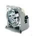 ViewSonic RLC-017 Ersatzlampe