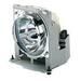 ViewSonic RLC-046 Ersatzlampe